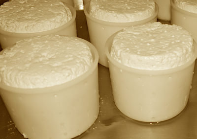 Fabrication du fromage de chevre du Refuge du Grenairon